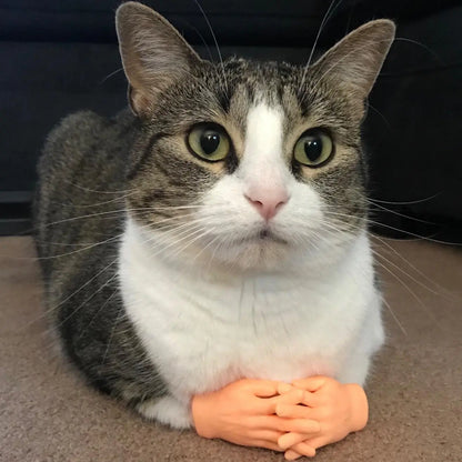 Viral Cat Gloves Viralhuntz