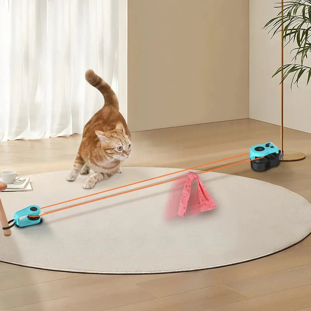 Electric Funny Cat Toy Viralhuntz