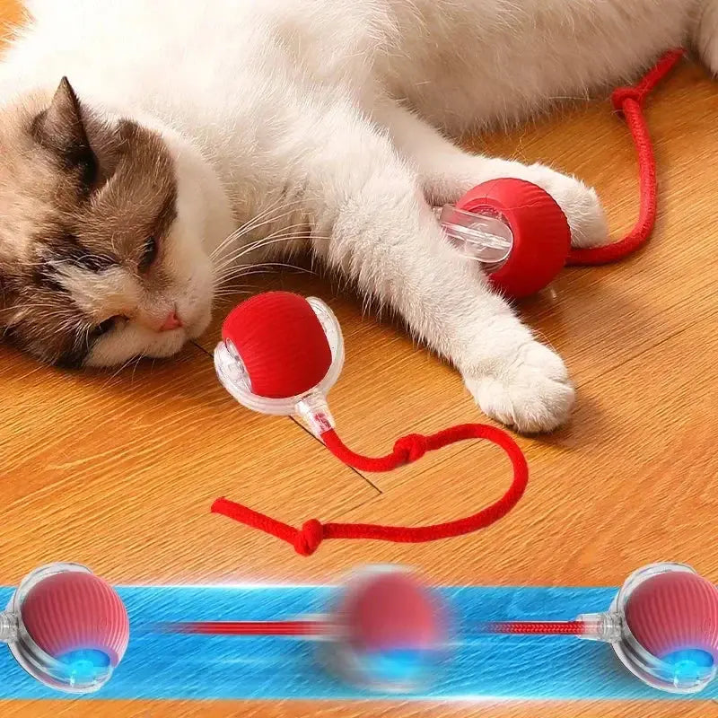 Ball Auto Electric Cat Toy Viralhuntz