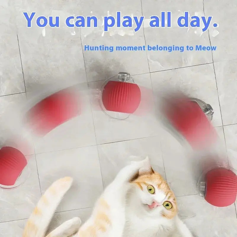 Ball Auto Electric Cat Toy Viralhuntz