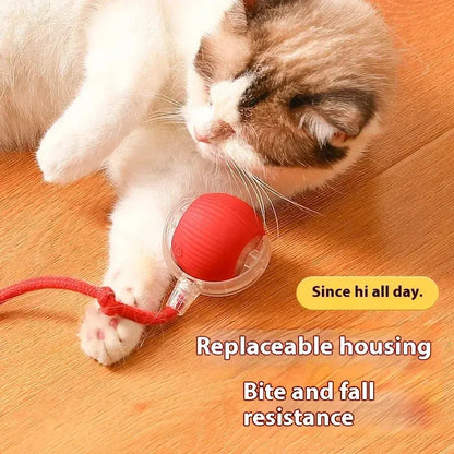 Ball Auto Electric Cat Toy Viralhuntz